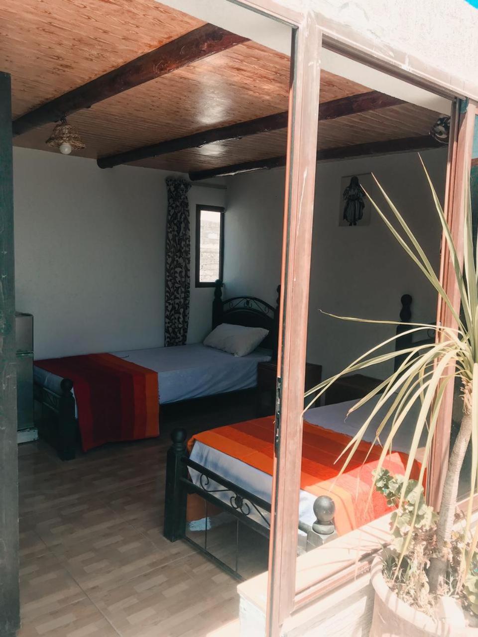 Tafoukt Surf Hostel 塔哈佐特 外观 照片